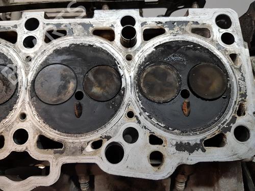 Cylinder head SEAT LEON (1M1)  | BP28291489M5 