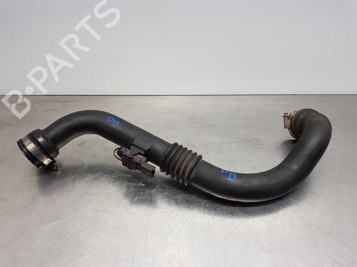 Used Pipe RENAULT SCÉNIC II (JM0/1_) [2003-2010]  30880932