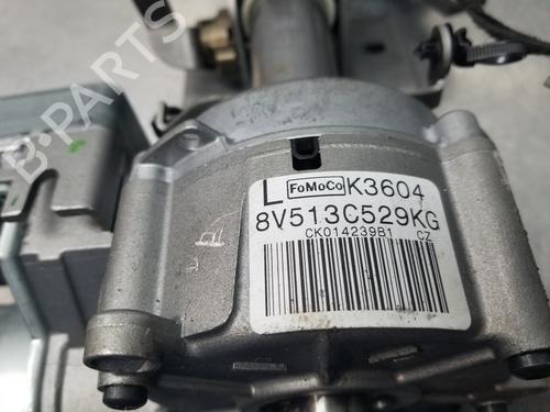 Steering column FORD FIESTA VI (CB1, CCN) | BP30747842M21