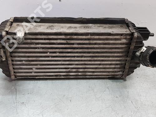 Intercooler KIA CARENS IV  | BP9195264M30 