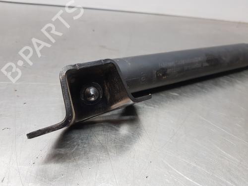 Tailgate lift support MERCEDES-BENZ M-CLASS (W166)  | BP29460436C138 