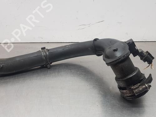 Pipe RENAULT SCÉNIC II (JM0/1_) | BP14256958M125