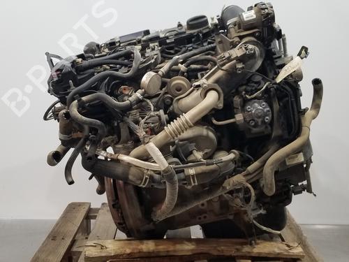 Engine FORD TOURNEO COURIER B460 MPV  | BP20238162M1 