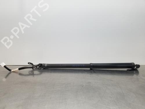 Used Tailgate lift support LEXUS NX (_Z1_) [2014-2025]  24112993