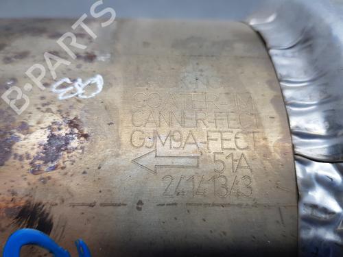 Catalyst LAND ROVER RANGE ROVER EVOQUE (L538)  | BP29121618M10 