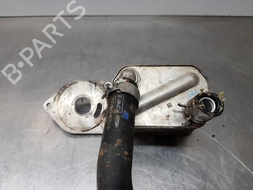 Used Oil radiator FORD TRANSIT CUSTOM V362 Bus (F3) [2012-2025]  30294126