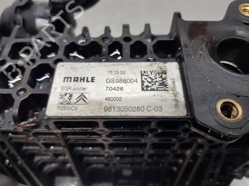 Egr PEUGEOT 308 SW II (LC_, LJ_, LR_, LX_, L4_) | BP30127116M69