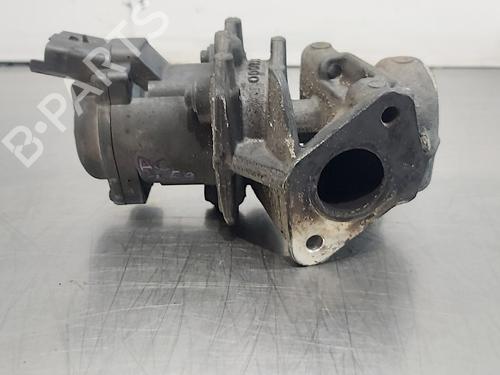 Egr CITROËN C5 II (RC_) | BP13492233M69