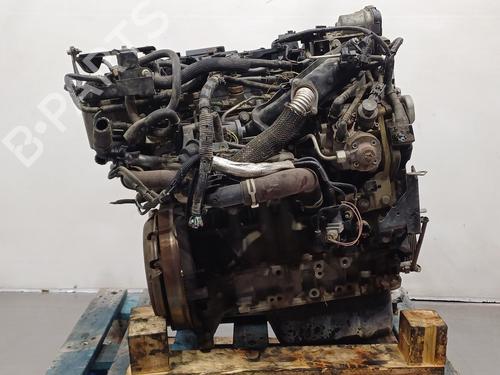 Motor für FORD FIESTA VI (CB1, CCN) [2008-2017]  17093311