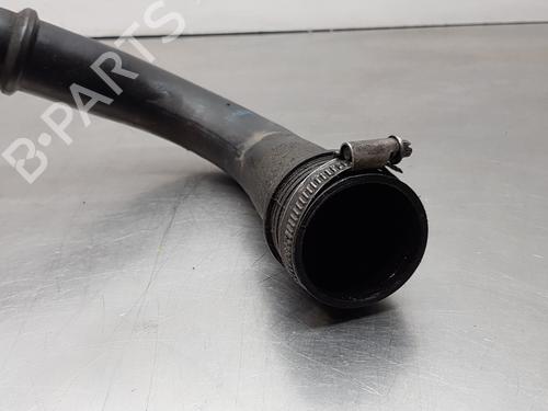 Rohr RENAULT MEGANE II Saloon (LM0/1_) 1.5 dCi (LM02, LM13, LM2A) | BP14256806M125