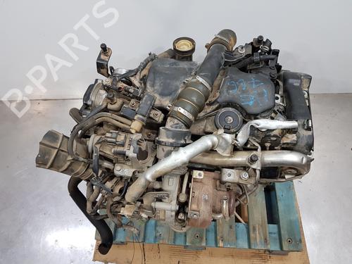 Motor für NISSAN QASHQAI II (J11, J11_) [2013-2025]  30831636