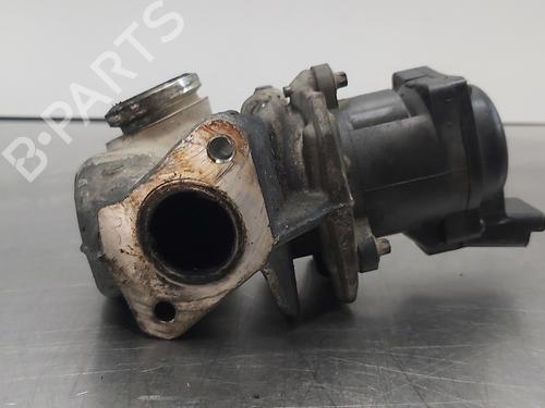 Egr FORD FOCUS II (DA_, HCP, DP) [2004-2013]  30878716