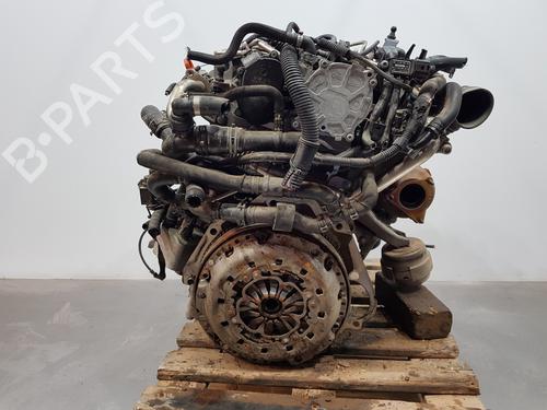 Engine SEAT EXEO (3R2)  | BP28949127M1 