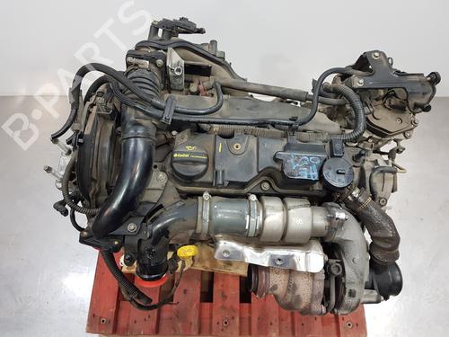 Used Engine FORD C-MAX II (DXA/CB7, DXA/CEU) [2010-2019]  26562355