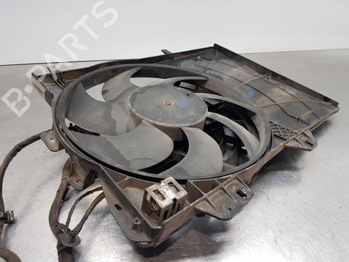 Radiator fan PEUGEOT 207 (WA_, WC_)  | BP29131105M35 