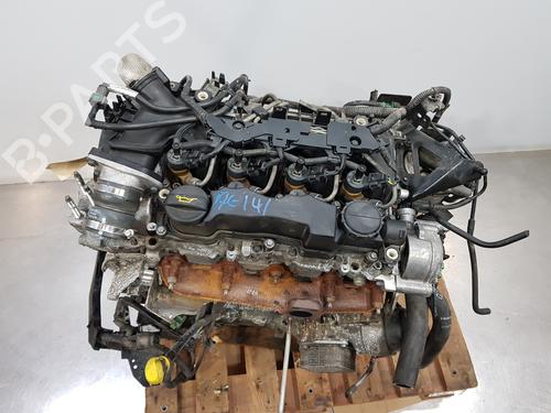 Motor FORD FIESTA VI (CB1, CCN) [2008-2025]  30202662