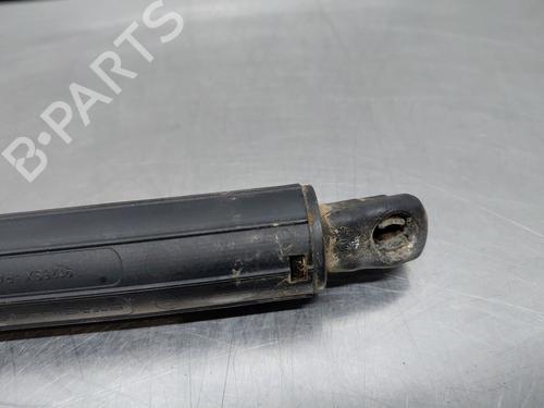 Tailgate lift support MERCEDES-BENZ GL-CLASS (X164) GL 450 4-matic (164.871) | BP31129955C138