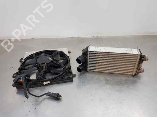 Full front PEUGEOT 2008 II (UD_, US_, UY_, UJ_, UR_, UC_) 1.2 PureTech 130 (USHNS, URHNS) | BP29589995S1