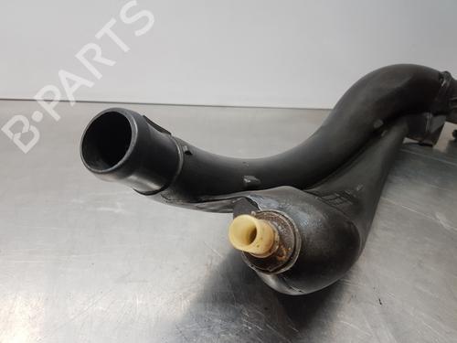 Pipe CITROËN XSARA PICASSO (N68) | BP30169880M125