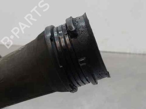 Pipe RENAULT SCÉNIC II (JM0/1_) | BP14256958M125