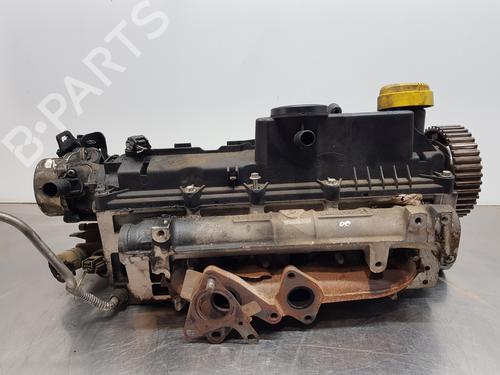 Cylinder head RENAULT MEGANE III Hatchback (BZ0/1_, B3_)  | BP30055096M5 