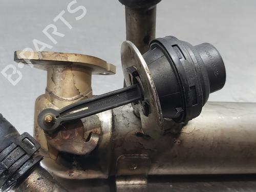 Egr SEAT IBIZA IV (6J5, 6P1)  | BP17653390M69 