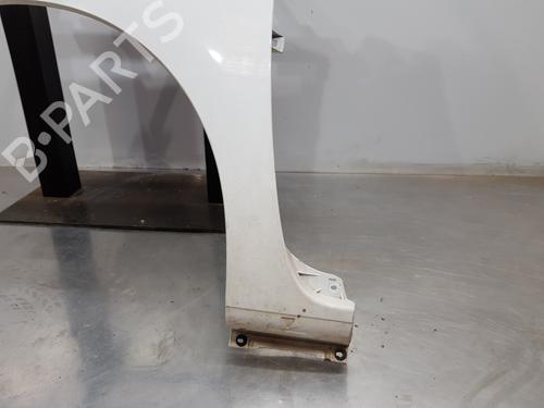 Left front fenders RENAULT KANGOO / GRAND KANGOO II (KW0/1_)  | BP29754121C41