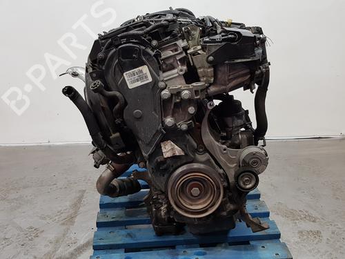 Engine FORD C-MAX II (DXA/CB7, DXA/CEU) 2.0 TDCi | BP13948907M1 