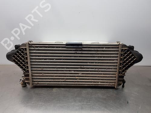 Intercooler MERCEDES-BENZ M-CLASS (W166)  | BP29356562M30 