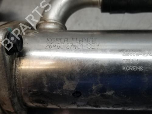 Egr HYUNDAI SONATA V (NF) 2.0 CRDi | BP30879784M69