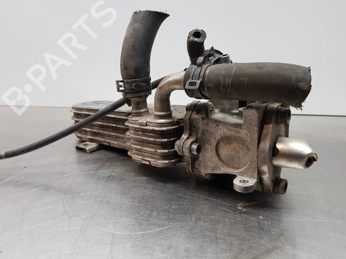 Egr VW PASSAT B6 (3C2) | BP30881082M69