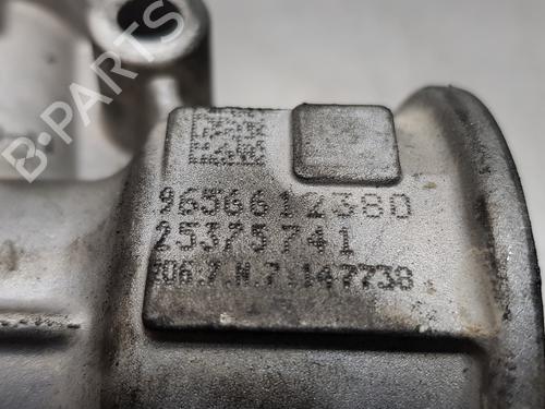 Egr FORD MONDEO IV (BA7) 2.0 TDCi | BP13384190M69