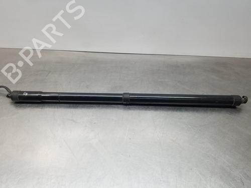 Used Tailgate lift support FORD GRAND C-MAX (DXA/CB7, DXA/CEU) [2010-2019]  25439689