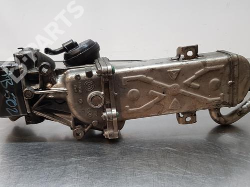 Egr SEAT ALTEA (5P1)  | BP10182816M69 