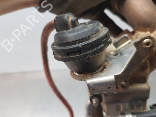 Egr BMW X3 (G01, F97, G08) xDrive 20 d | BP29612590M69