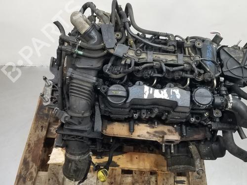 Engine FORD FOCUS C-MAX (DM2)  | BP19118675M1 