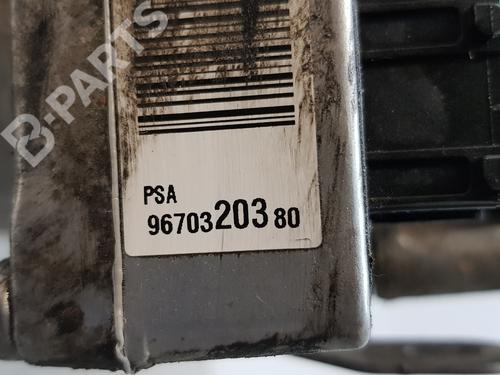 Steering pump PEUGEOT 307 (3A/C)  | BP10136075M99 
