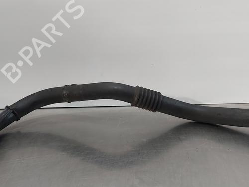 Rohr für RENAULT SCÉNIC II (JM0/1_) 1.5 dCi (JM02, JM13) (101 hp) 30879007