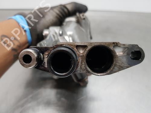 Support LAND ROVER RANGE ROVER EVOQUE (L538)  | BP29121658C155 