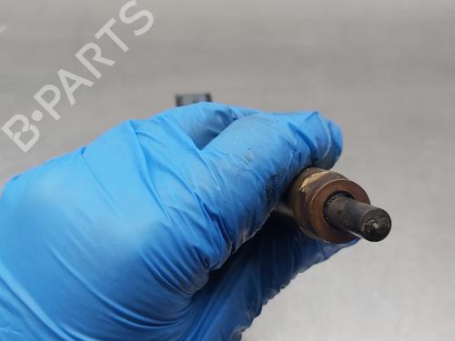 Injector DACIA LODGY (JS_) 1.5 dCi | BP16940631M100 