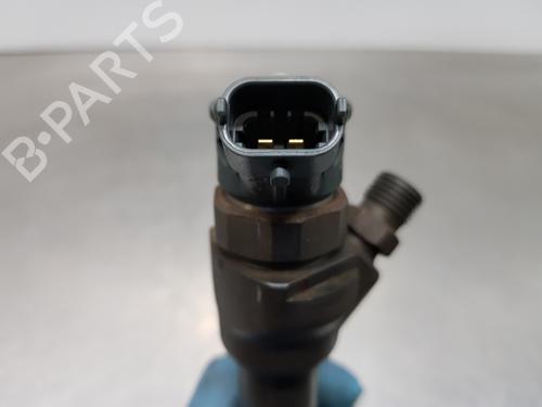 Injector LAND ROVER RANGE ROVER EVOQUE (L538)  | BP29121622M100 