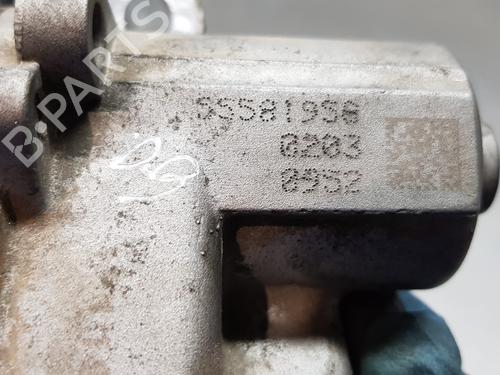 Egr CHEVROLET CRUZE (J300)  | BP18915429M69 