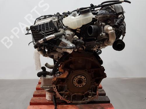 Engine FORD FOCUS III Turnier  | BP22568973M1 