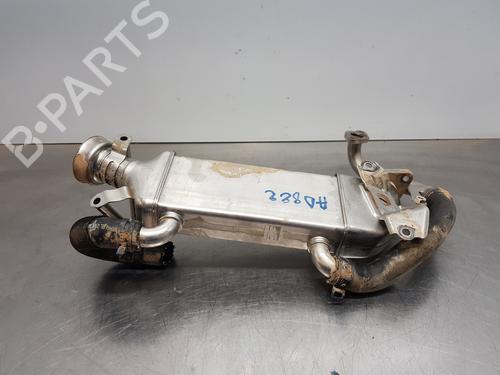 Used Egr MERCEDES-BENZ B-CLASS Sports Tourer (W246, W242) [2011-2018]  30096504