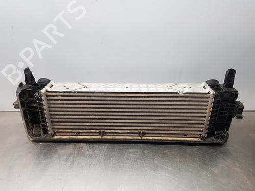 Intercooler BMW X3 (G01, F97, G08) xDrive 20 d | BP29613761M30 