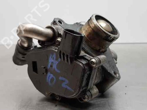 Egr SKODA RAPID (NH3, NK3, NK6) 1.6 TDI | BP13019599M69 
