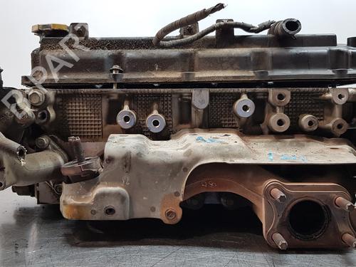 Used Cylinder head NISSAN NT400 CABSTAR (F24M) [2009-2025]  19055651