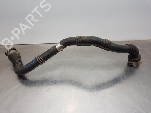 Rohr für RENAULT KANGOO / GRAND KANGOO II (KW0/1_) [2008-2025]  29814311