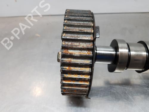 Outra VW GOLF V (1K1)  | BP29942319O1