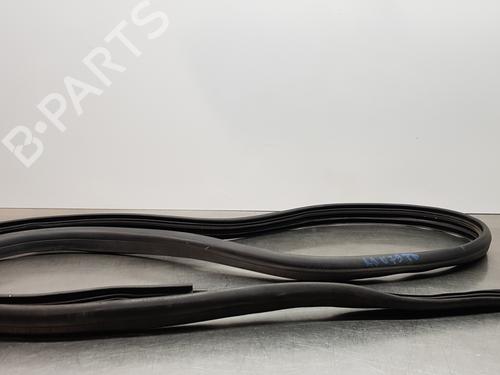 Gummiliste DACIA LODGY (JS_) [2012-2025]  30879630